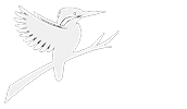 flockes.net
